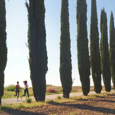 SI-Montalcino-gallery-4
